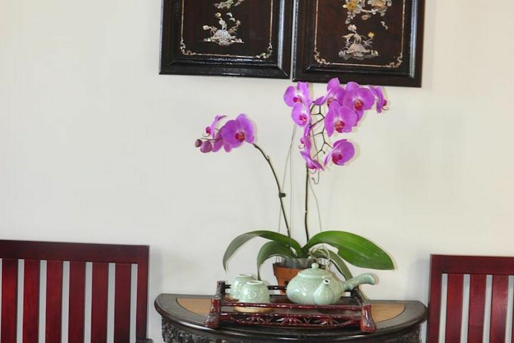 Bonsai Villa Хойан Экстерьер фото